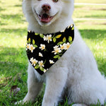 Vintage Plumeria Flower Pattern Print Over The Collar Dog Bandana