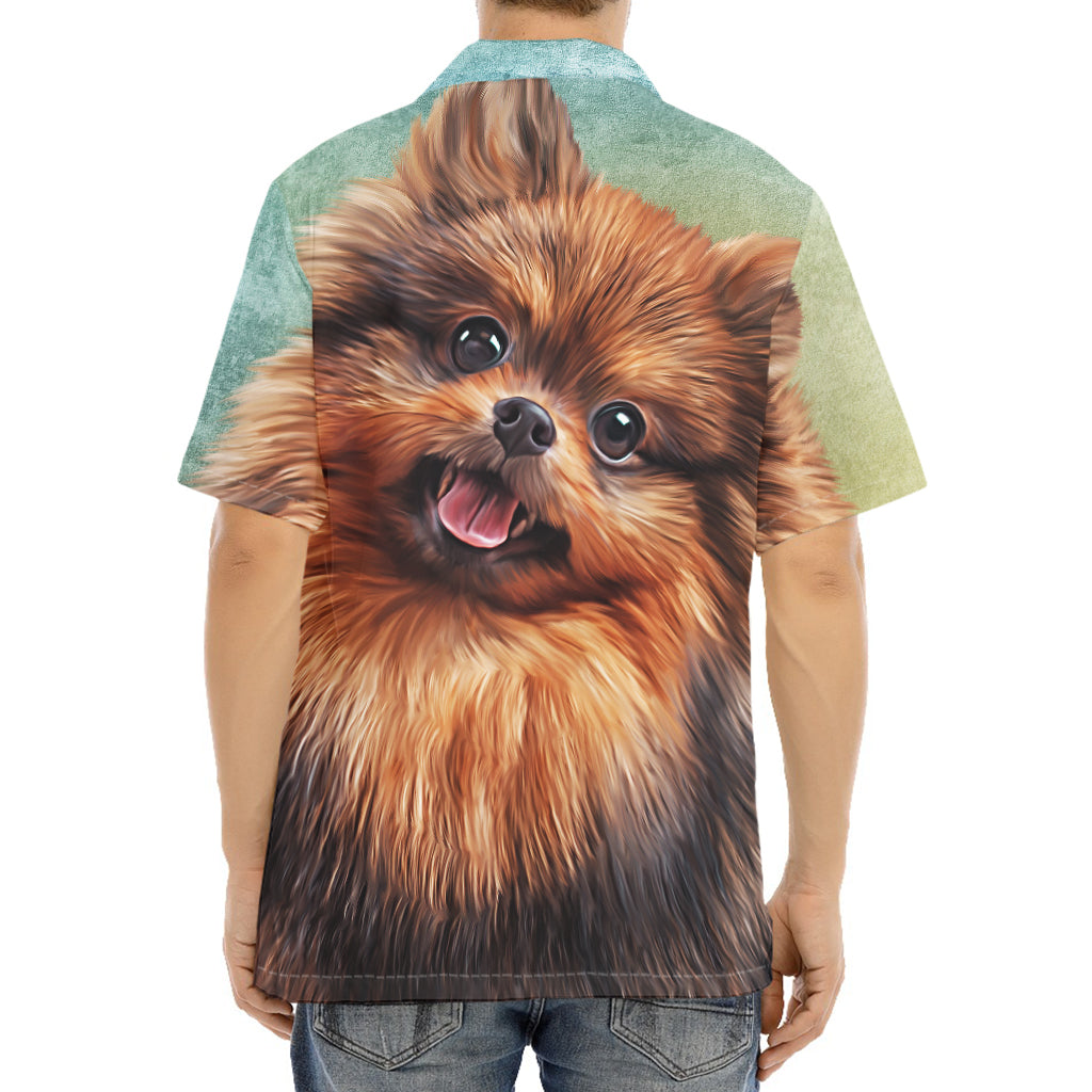 Vintage Pomeranian Portrait Aloha Shirt