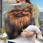 Vintage Pomeranian Portrait Baby Seat Cover