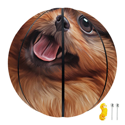 Vintage Pomeranian Portrait Basketball