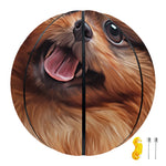Vintage Pomeranian Portrait Basketball