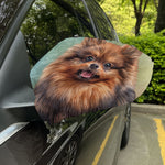 Vintage Pomeranian Portrait Car Side Mirror Covers