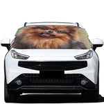 Vintage Pomeranian Portrait Car Windshield Snow Cover