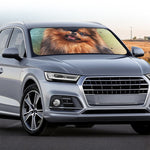 Vintage Pomeranian Portrait Car Windshield Sun Shade