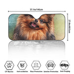 Vintage Pomeranian Portrait Car Windshield Sun Shade