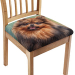 Vintage Pomeranian Portrait Chair Cushion Cover