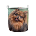 Vintage Pomeranian Portrait Collapsible Laundry Basket