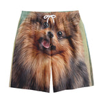 Vintage Pomeranian Portrait Cotton Shorts