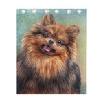 Vintage Pomeranian Portrait Curtain
