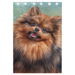 Vintage Pomeranian Portrait Curtain