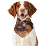 Vintage Pomeranian Portrait Dog Bandana