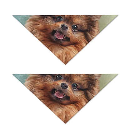 Vintage Pomeranian Portrait Dog Bandana
