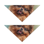 Vintage Pomeranian Portrait Dog Bandana