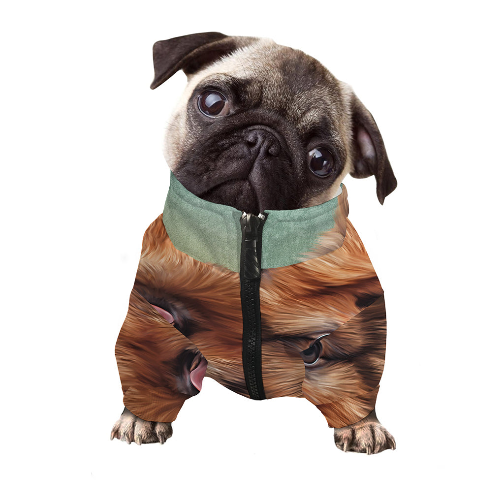 Vintage Pomeranian Portrait Dog Zip Up Jacket