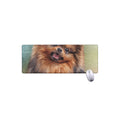 Vintage Pomeranian Portrait Extended Mouse Pad