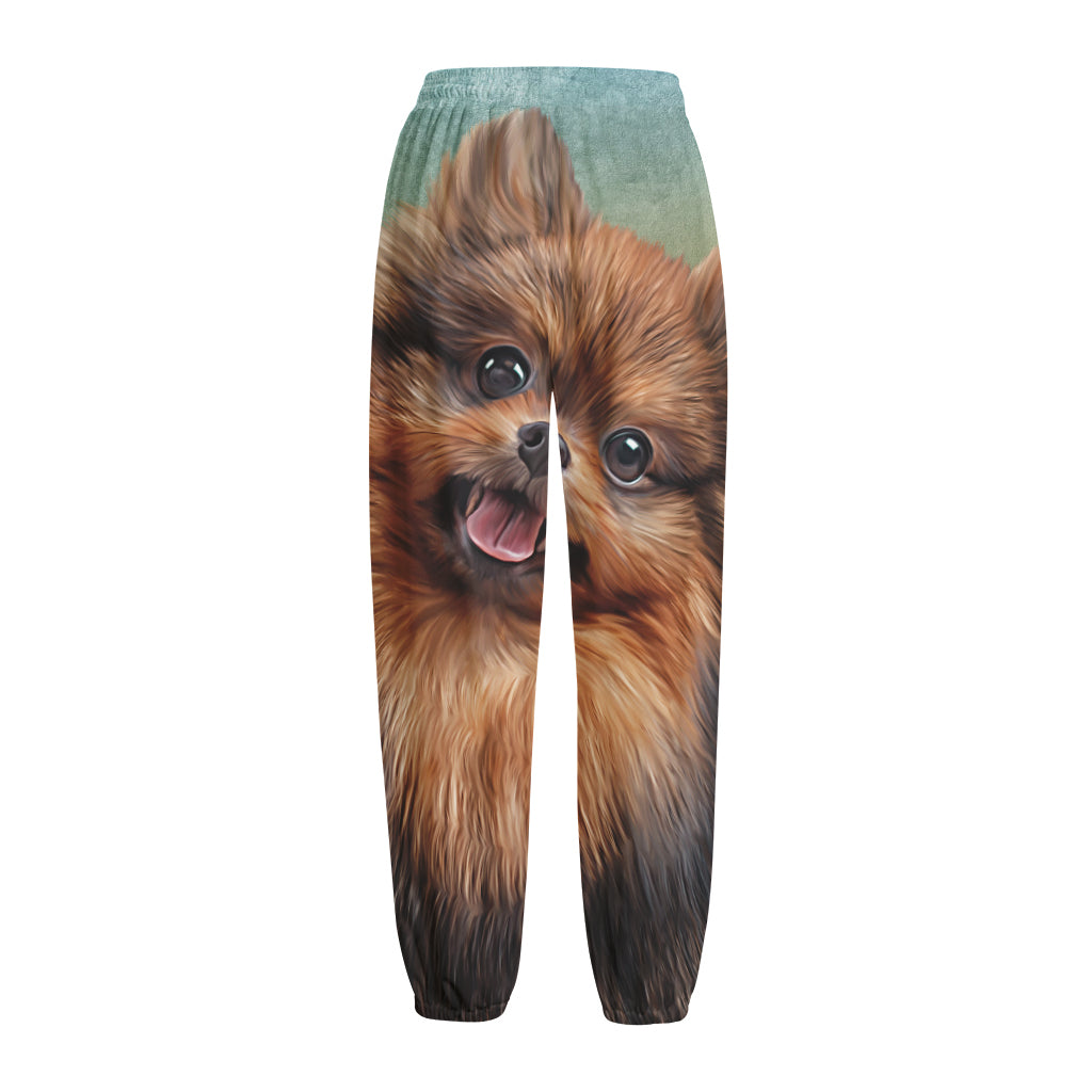 Vintage Pomeranian Portrait Fleece Lined Knit Pants