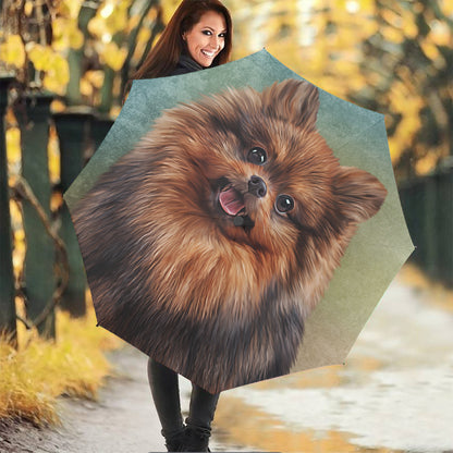 Vintage Pomeranian Portrait Foldable Umbrella
