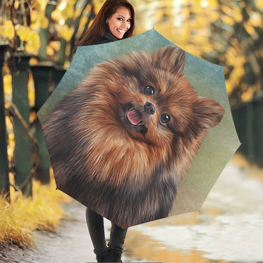 Vintage Pomeranian Portrait Foldable Umbrella