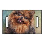 Vintage Pomeranian Portrait Golf Cart Seat Cover