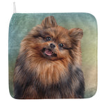 Vintage Pomeranian Portrait Hand Towel