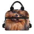Vintage Pomeranian Portrait Insulated Lunch Bag