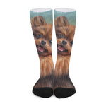 Vintage Pomeranian Portrait Long Socks