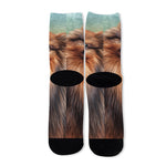 Vintage Pomeranian Portrait Long Socks