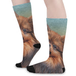Vintage Pomeranian Portrait Long Socks