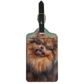 Vintage Pomeranian Portrait Luggage Tag