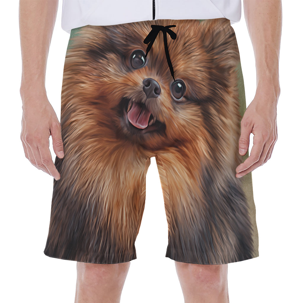 Vintage Pomeranian Portrait Men's Beach Shorts