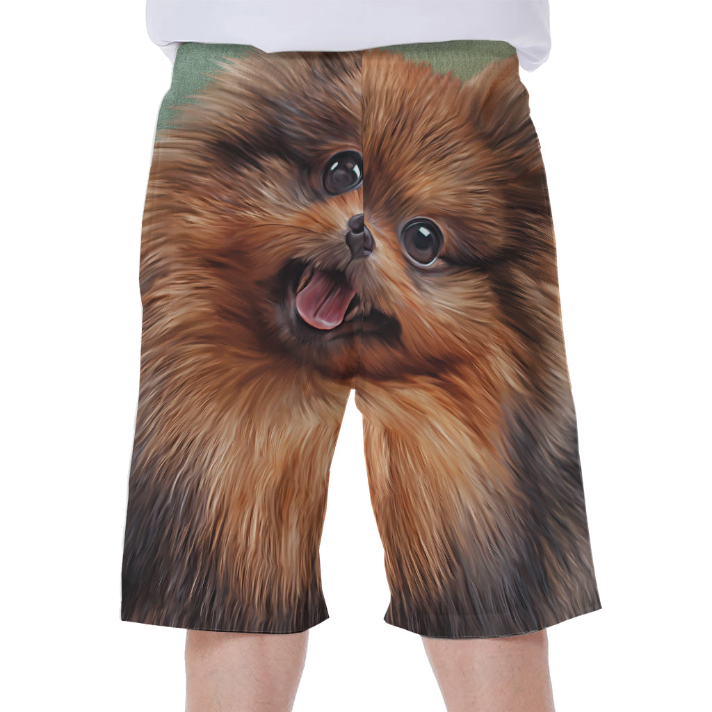 Vintage Pomeranian Portrait Men's Beach Shorts