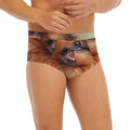 Vintage Pomeranian Portrait Men's Briefs