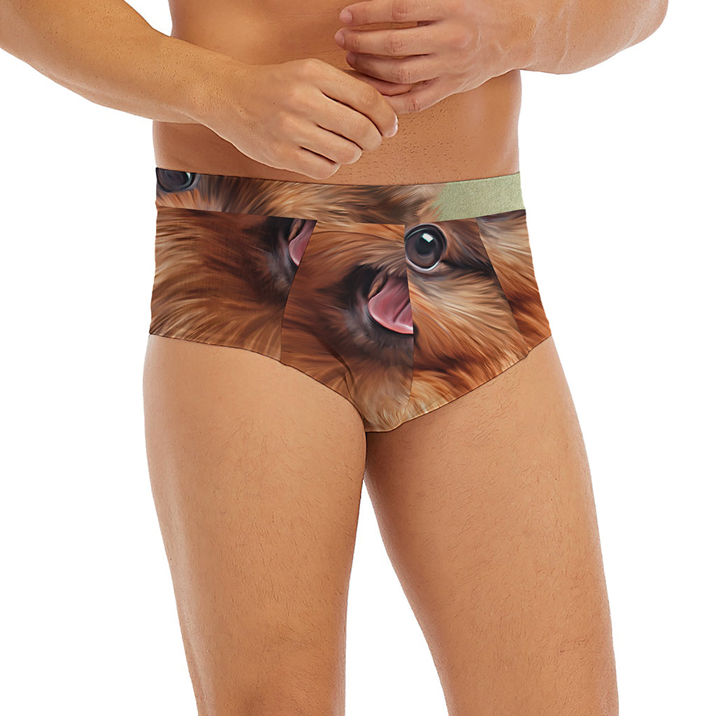 Vintage Pomeranian Portrait Men's Briefs