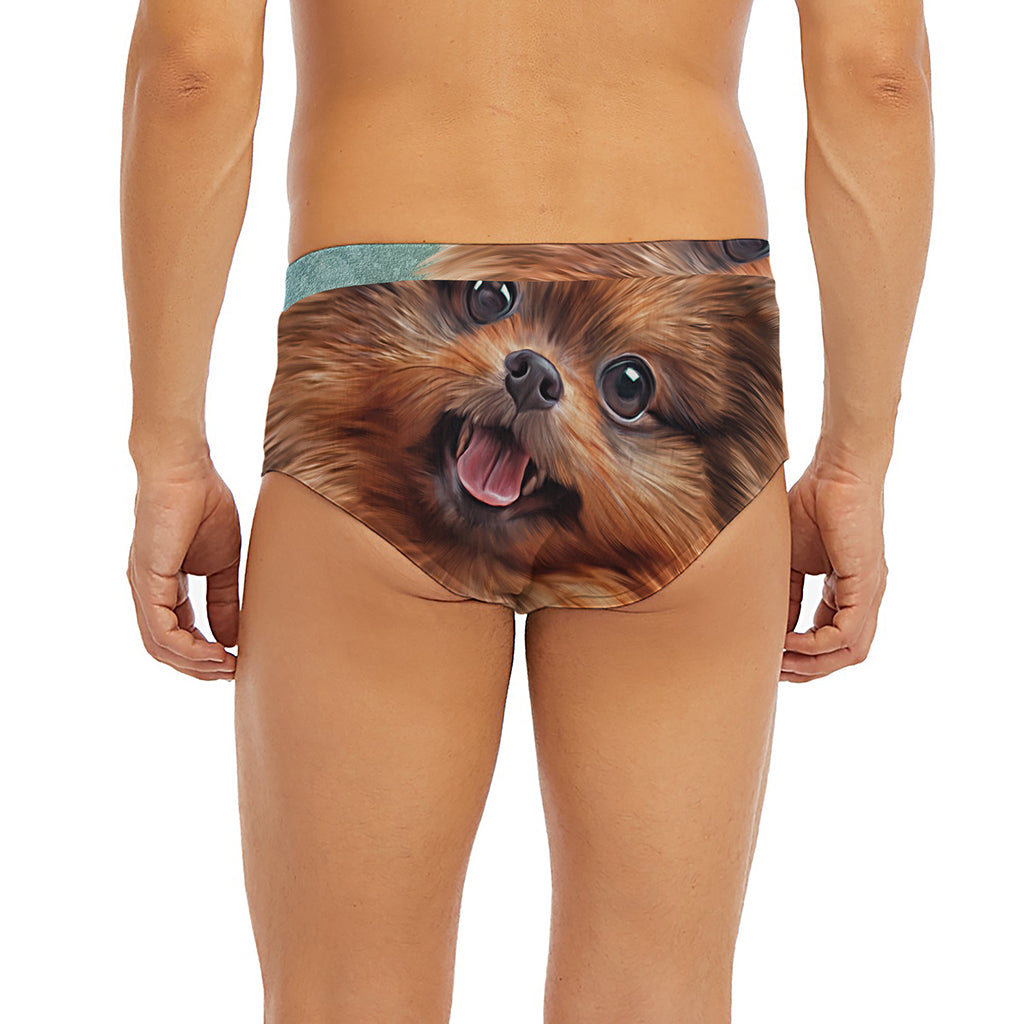 Vintage Pomeranian Portrait Men's Briefs