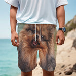 Vintage Pomeranian Portrait Men's Cargo Shorts