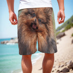 Vintage Pomeranian Portrait Men's Cargo Shorts