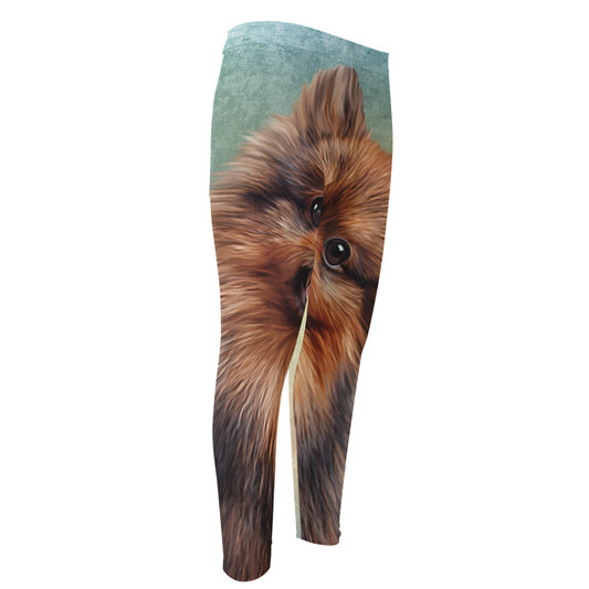 Vintage Pomeranian Portrait Men's Compression Pants