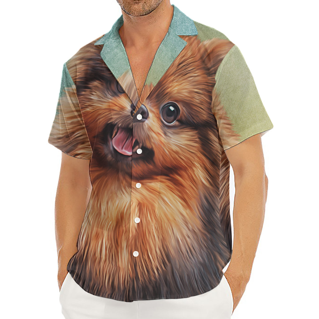 Vintage Pomeranian Portrait Men's Deep V-Neck Shirt