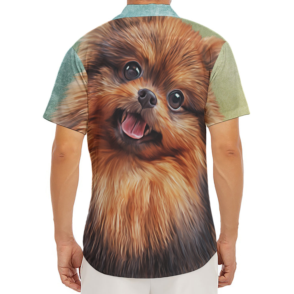 Vintage Pomeranian Portrait Men's Deep V-Neck Shirt