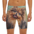 Vintage Pomeranian Portrait Men's Long Boxer Briefs