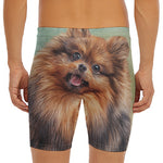 Vintage Pomeranian Portrait Men's Long Boxer Briefs