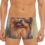 Vintage Pomeranian Portrait Men's Short Boxer Briefs