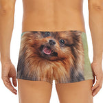 Vintage Pomeranian Portrait Men's Short Boxer Briefs