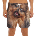 Vintage Pomeranian Portrait Men's Split Running Shorts