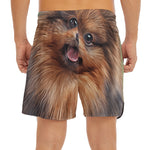 Vintage Pomeranian Portrait Men's Split Running Shorts