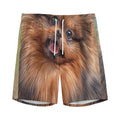 Vintage Pomeranian Portrait Men's Athletic Shorts