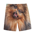Vintage Pomeranian Portrait Men's Sports Shorts