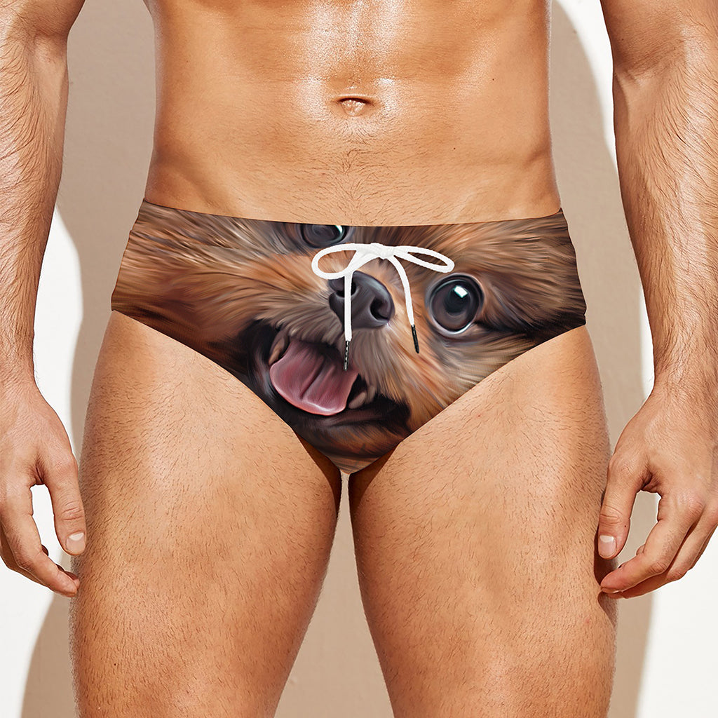 Vintage Pomeranian Portrait Men's Swim Briefs