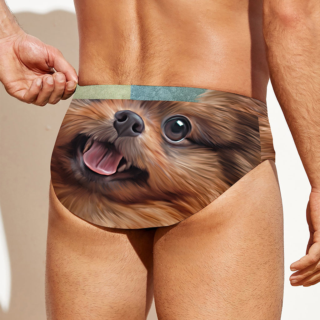 Vintage Pomeranian Portrait Men's Swim Briefs