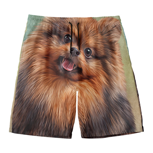 Vintage Pomeranian Portrait Men's Swim Trunks